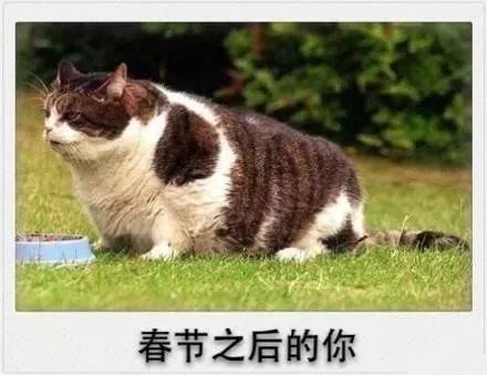 67d8ce9fecb2e10b2d5efd6efacbfe9e.jpg